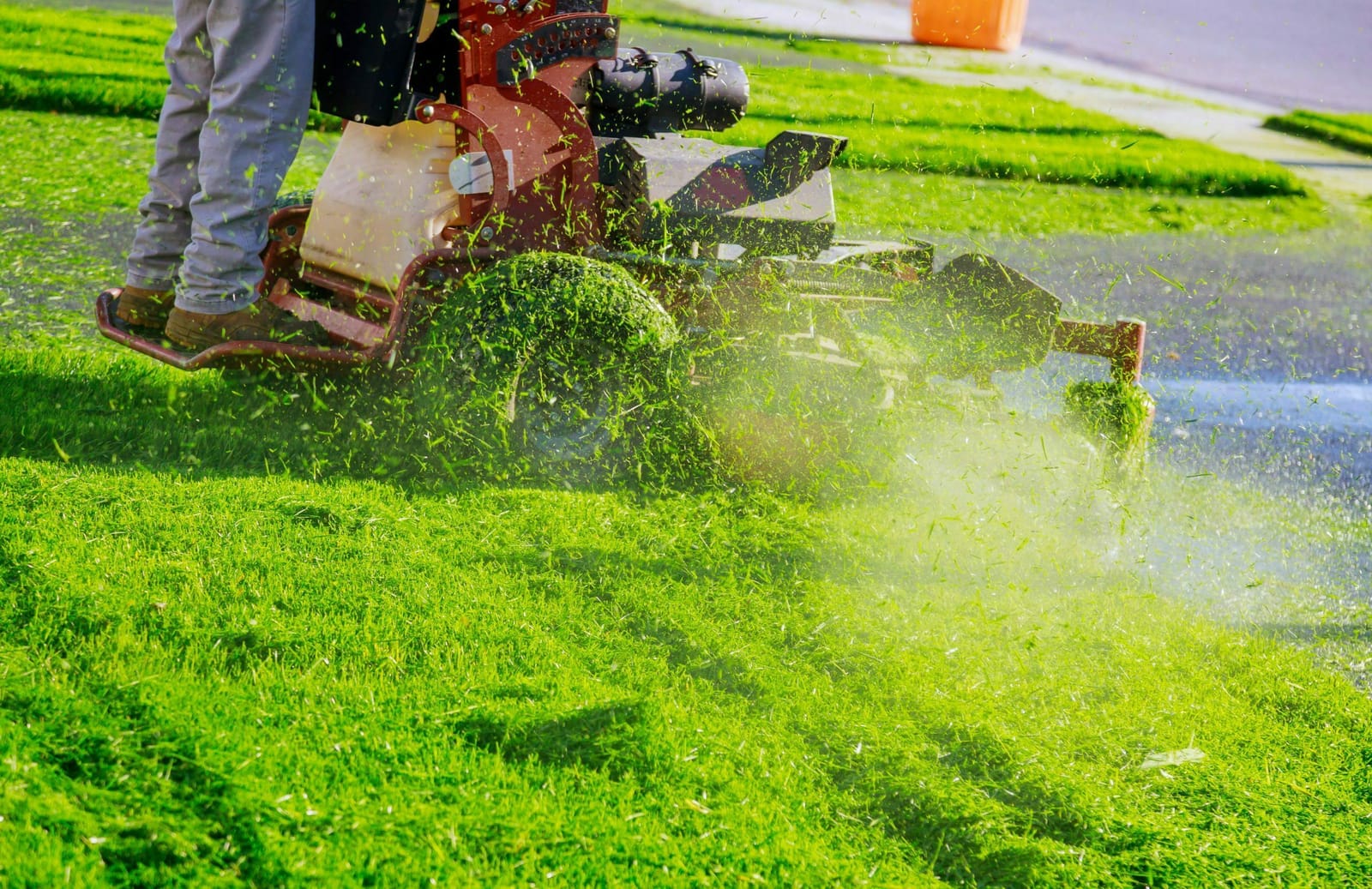 The Top Home Maintenance Tips for People Who Live in Florida