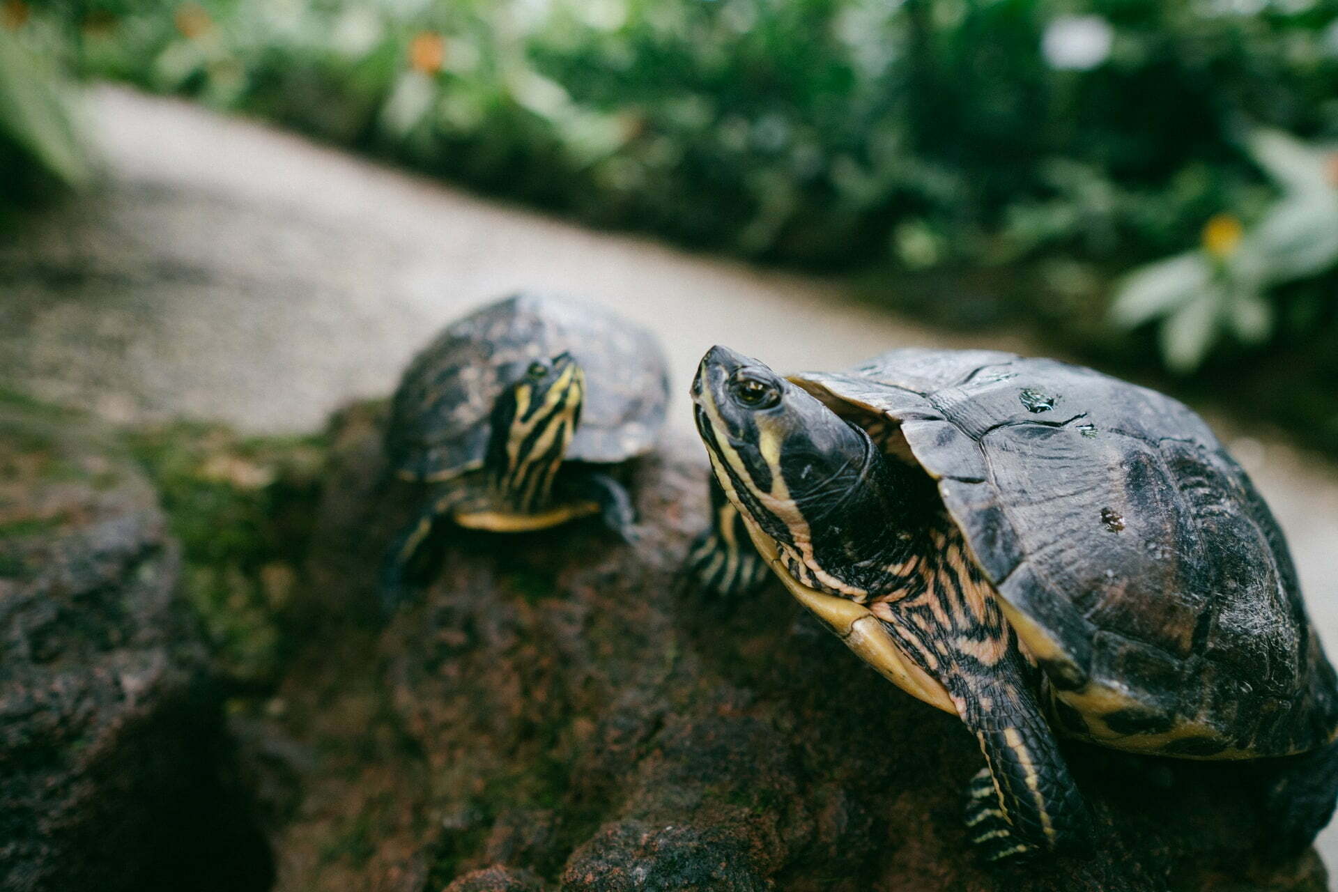 The Best Things to Do in Birmingham, AL